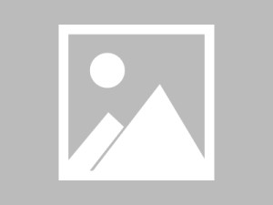 江苏一学校食堂麻酱盆中现死老鼠