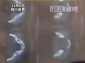 男子CT报告现子宫?院方回应
