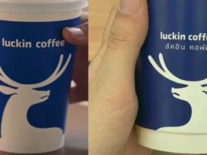 打假失败！瑞幸起诉“山寨瑞幸”输了！网友：“泰离谱”…